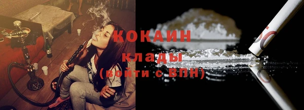 PSILOCYBIN Вяземский