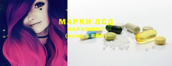 PSILOCYBIN Вяземский