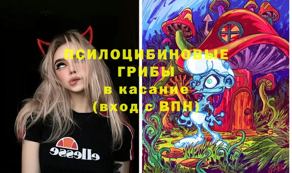 гидропоника Верея