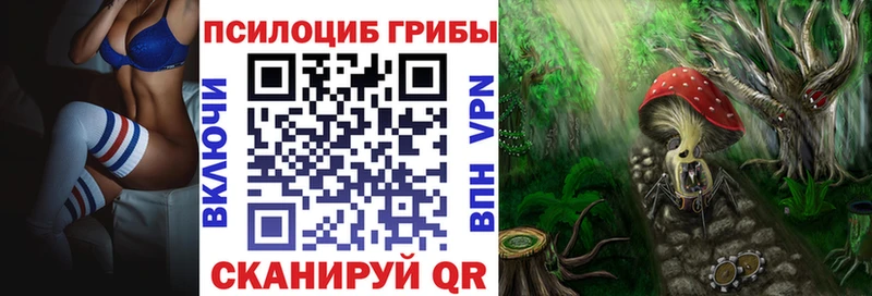 Купить закладки  Белокуриха  Псилоцибиновые грибы MAGIC MUSHROOMS 
